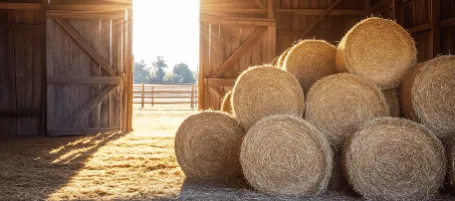 Bale of Hay