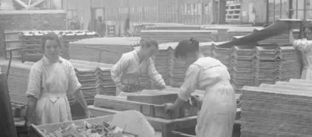 Image of asbestos